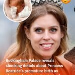 Buckingham Palace shares surprising details about Princess Beatrice giving birth prematurely