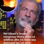 Mel Gibson proposed a ‘crazy’ conspiracy theory about the LA wildfires after his home was destroyed, which left many baffled